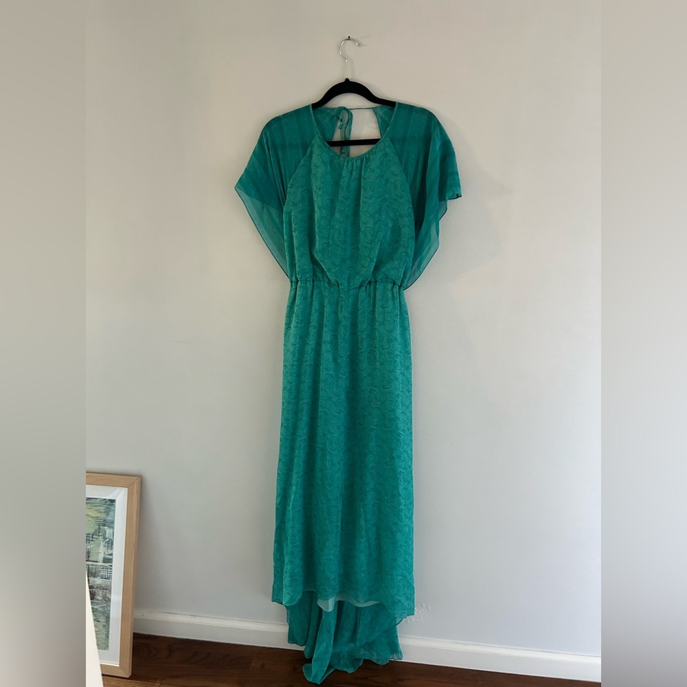 Elizabeth and James Silk Chiffon Maxi Dress Size M
